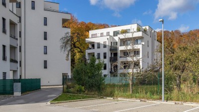 Moderne 3-Zimmer-Eigentumswohnung mit 2 Loggien &amp; Lift!! 90 m² Wohnfläche inkl. Küche &amp; KFZ Stellplatz!!