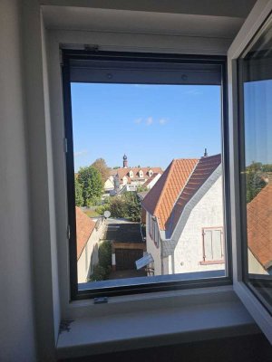 Paradies für Studierende, Pärchen oder Single - Tolles Appartement über den Dächern von Pfiffligheim