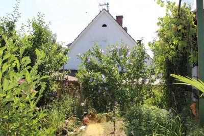 Hier lässt sich viel draus machen - 
EFH mit schön eingewachsenem Garten!