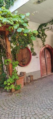 Geräumiges 3 Seiten Winzergut bestehend aus 2 Häusern und großräumigen Nebengebäuden