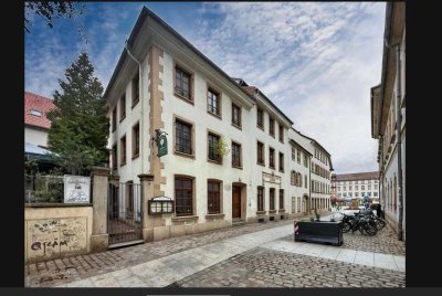 Loft Altbau Maisonette Wohnung im Herzen Landaus
