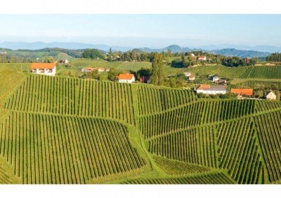Ihr neues Zuhause in den Hügeln der Südsteiermark - Top2