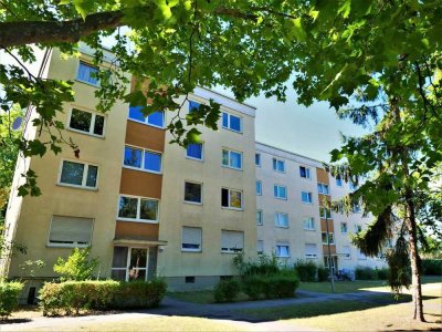 Demnächst frei! 4-Zimmer-Wohnung in Frankenthal (Pfalz)