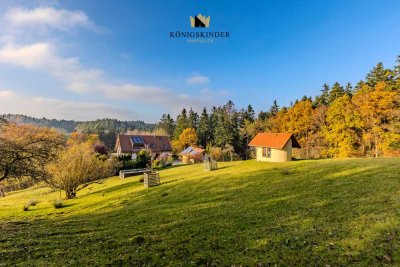 Freiheit – Sicherheit – Wasser