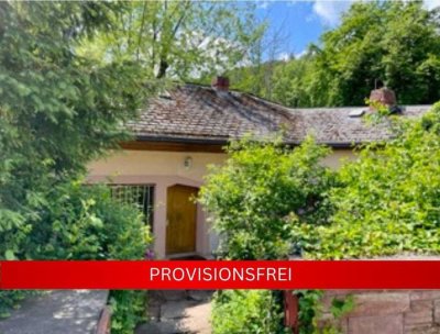 Provisionsfreies Liebhaberobjekt! Ehemalige Fabrikantenvilla möchte wieder in neuem Glanz erstrahlen