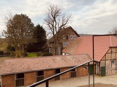 Erstbezug nach Sanierung: ansprechende 2-Zimmer-Wohnung mit EBK und Balkon in Hambühren I