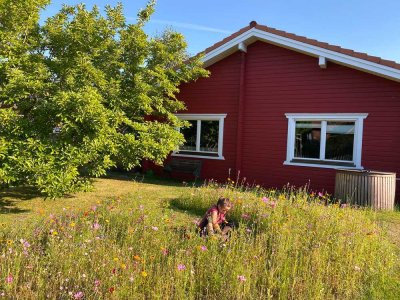 Elegantes Einfamilienhaus (6 Zi.) in Wrist, Baujahr 1994, modernisiert 2022