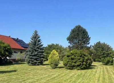 Urban Living & Schrebergarten-Idylle: Das Beste aus zwei Welten