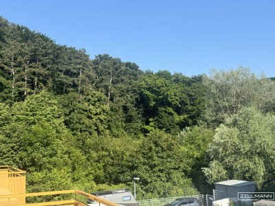 Raum zum Leben. Freiheit im Grünen. | ZELLMANN IMMOBILIEN