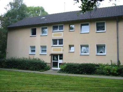 ruhig gelegene, frisch sanierte 3,5-Zi.-Wohnung mit Balkon