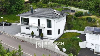 Architektonisch durchdachtes Hanghaus mit unverbaubarem Elbblick