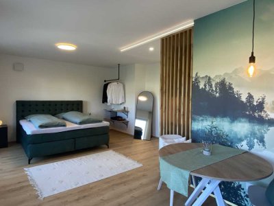 Für Wochenendpendler - helle, möblierte 1-Zimmer Wohnung mit großer Sonnenterrasse