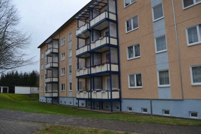 Nette Nachbarn gesucht!