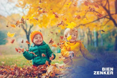 Bien-Zenker EVOLUTION 136 - Ihr individuelles Zuhause in Gelnhausen