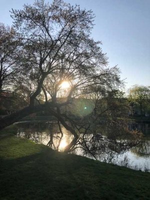 direkt am Arthur-Bretschneider-Park in Eutritzsch!