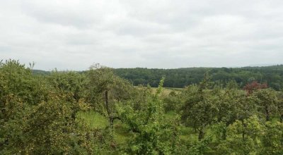 Moderne Wohnung angrenzend an Obstbaumwiesen und Aussicht auf Wald und Burg