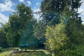 Erstbezug nach Kernsanierung: wunderschöne helle Drei-Zimmerwohnung im Erdgeschoß