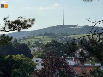 * Grünblick auf der Hohen Warte! *