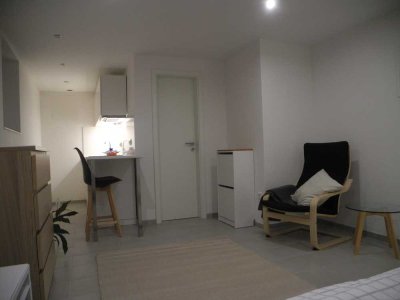 Möbliertes, schönes 1-Zimmer-Apartment mit Küchenzeile in Bingen-Gaulsheim