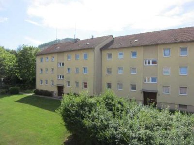 Renovierte 2-Zimmer-Wohnung