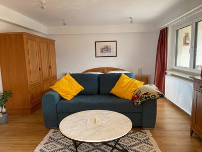 Renovierte Wohnung in super Lage