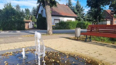 Einfamilienhaus auf großem Grundstück – hell, gepflegt Einziehen & wohlfühlen