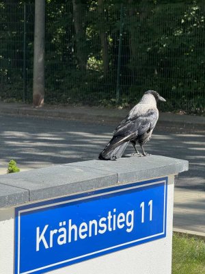 Schicke 4 RWG in ruhiger Lage am Neustädter See