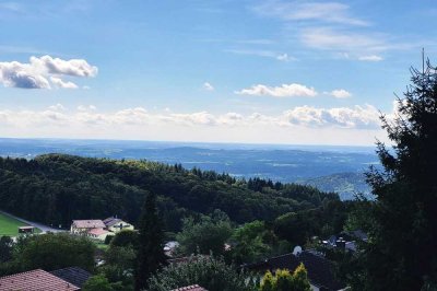 Charmantes Appartement mit traumhafter Fernsicht