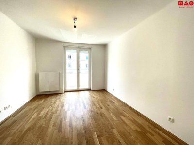 Erstbezug nach Renovierung! Sonnenbalkon, sehr gute ÖFFI Anbindung, sofort beziehbar!