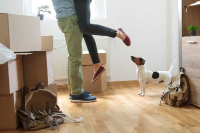 ***Kompakte Eleganz: Stillvoller Bungalow für die ganze Familie mit Klinkeraktion!***