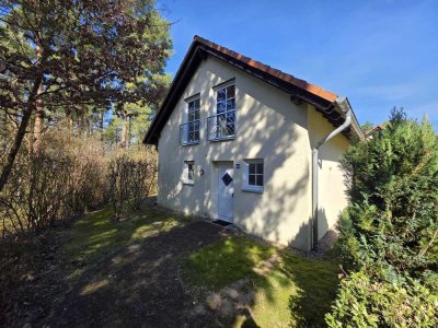 Doppelferienhaus "Lenzer Höh"