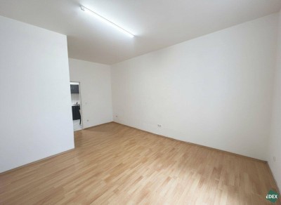 Altbauwohnung mit Potenzial im EG – 1 Zimmer, sanierungsbedürftig nahe Unfallkrankenhaus Wien Lorenz Böhler