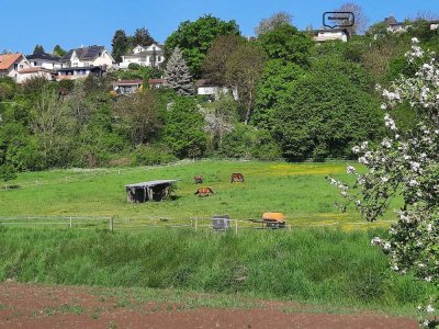 2 Zi.-Whg., KB mit großer Terrasse, Blick ins grüne, Stellplatz