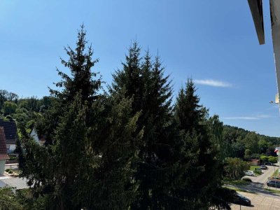 Frisch renovierte 3-Zimmer Wohnung im 3.OG mit Balkon!