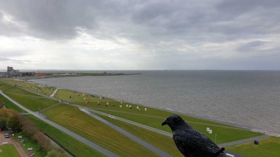 # Büsum/Lagune: Sanierte Meerblickwohnung in erster Seereihe!