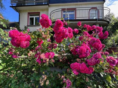 Geräumiges Ein- bis Zweifamilenhaus in Kreuztal-Ferndorf auf großem Grundstück
