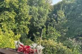 Stillvolles Wohnen am Waldrand