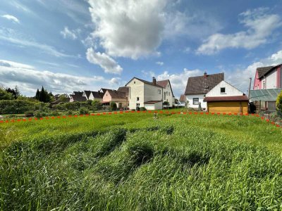 Familientraum in Offenbach:
Neubau Einfamilienhaus mit idyllischem Garten