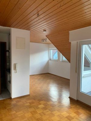 Stilvolle, renovierte 1-Zimmer-Wohnung mit geh. Innenausstattung mit EBK in Waiblingen-Galgenberg