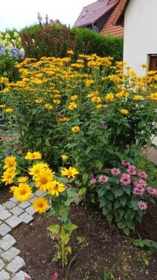 Geräumiges Einfamilienhaus in Oberweimar