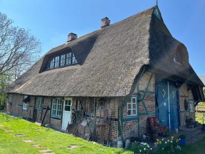 Saniertes Reetdachbauernhaus mit Stall und Pferdekoppel,Photovoltaik