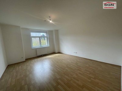 Einzigartige 2-Zimmer-Wohnung im Erdgeschoß in perfekter Zentrumslage nahe Donaupromenade