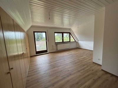 Sofort freie, komplett renovierte, geräumige 1-Zi.-Single- Whg. neue EBK, Balkon und Tageslicht- Bad