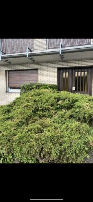 Exklusive 3-Zimmer-Erdgeschosswohnung mit gehobener Innenausstattung in Köln