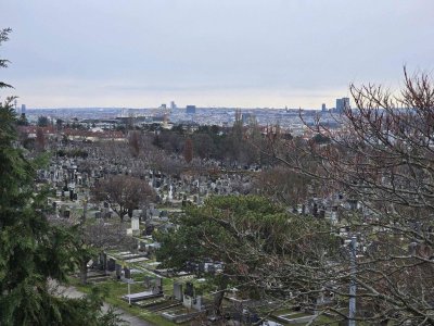 Wunderschöne Terrassenwohnung mit Fernblick &amp; Garagenplatz