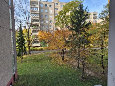 2-Zimmer Wohnung mit Loggia und Aufzug