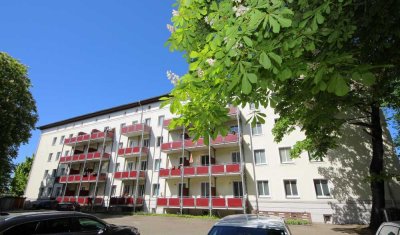 Zentral ruhige Altstadtlage mit EBK (opional), Balkon, Pkw-Stellplatz nahe Kulturhistorisches Museum