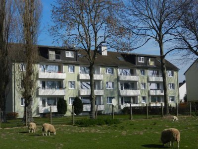 3 Zimmer in Werl