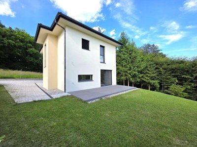 Modernes Ziegelmassivhaus im Grünen!