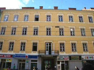 Ruhiger 1 ZIMMER-Altbau + sonniger Süd-Balkon + extra Wohnküche möbliert + Bad mit Dusche/WC/Fenster